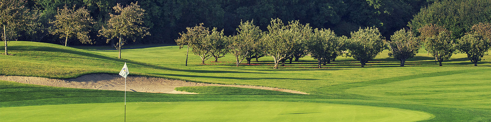 Grange Castle Golf Course Banner Image