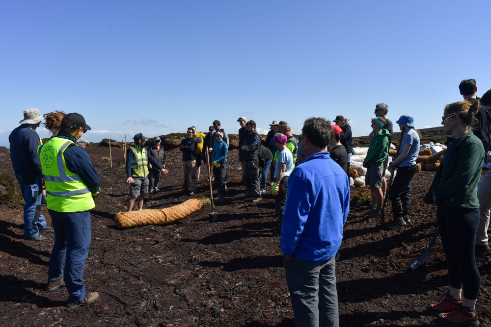DCAW-Peatland-Restorations-for-article