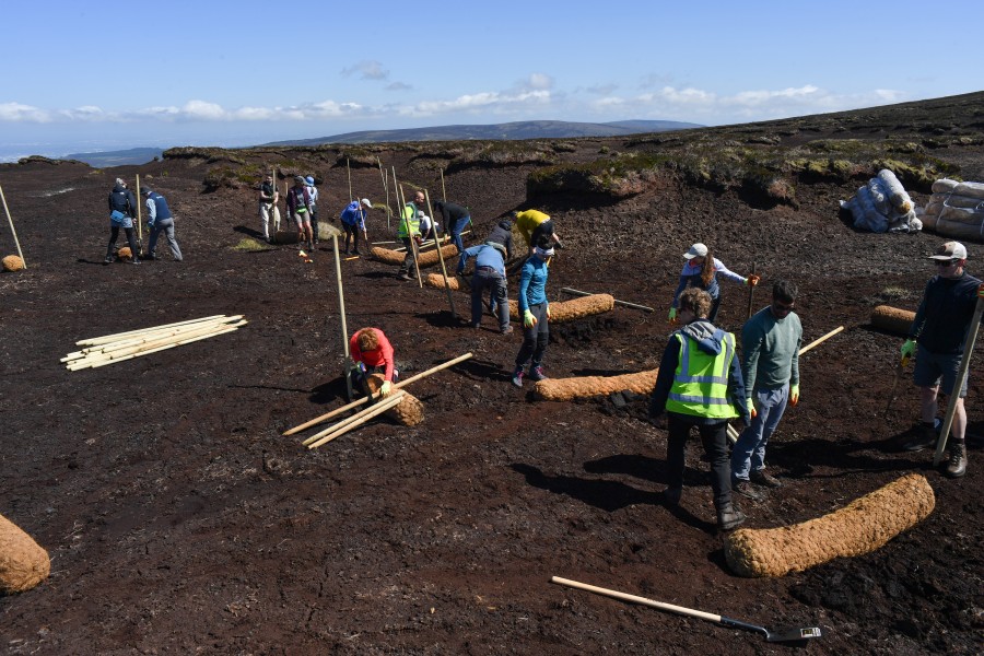Peatland-Restorations-LN Peatland-Restorations-LN