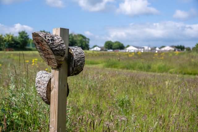 Tymon-Park-3