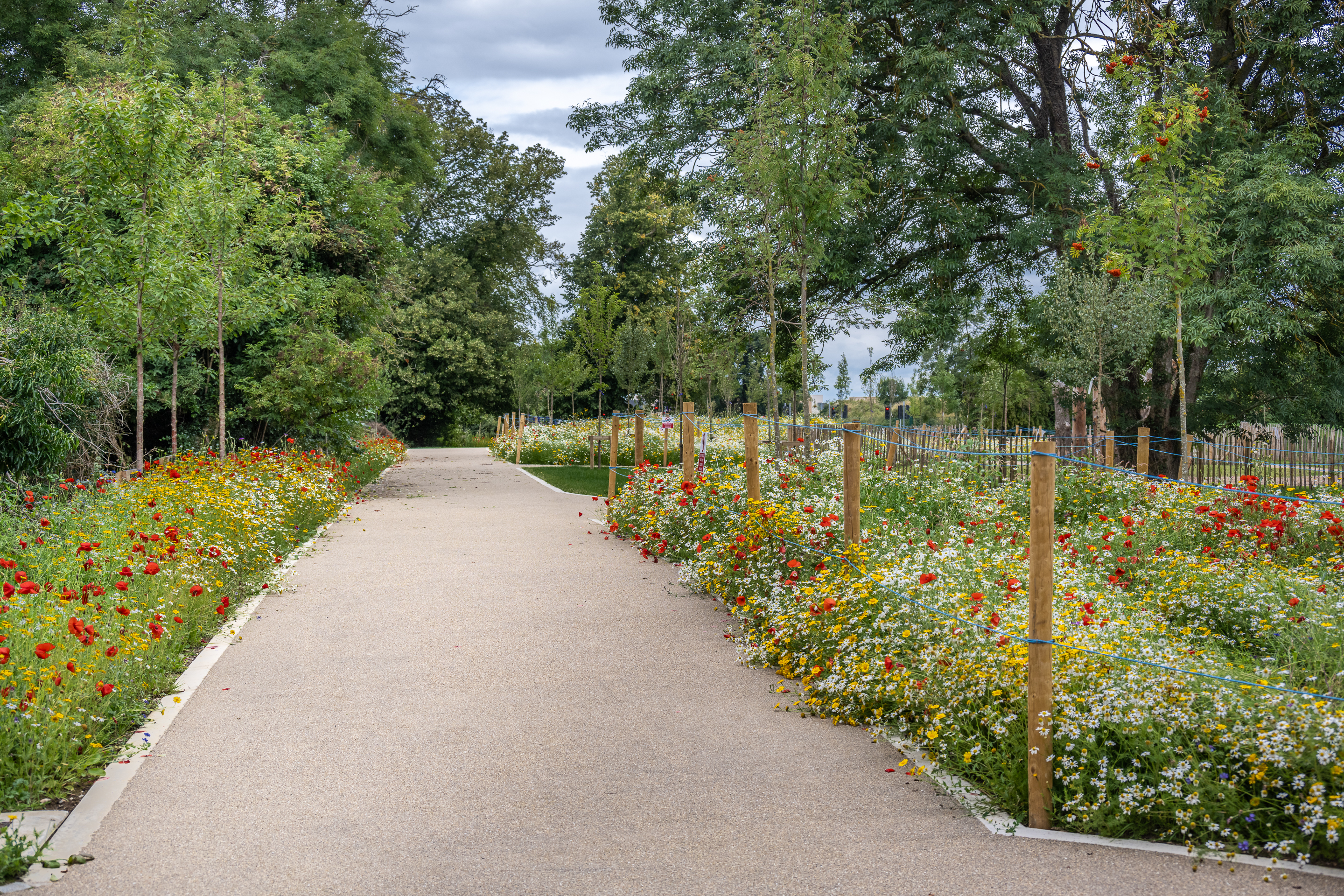 Irish Landscape Institute Design Awards SDCC