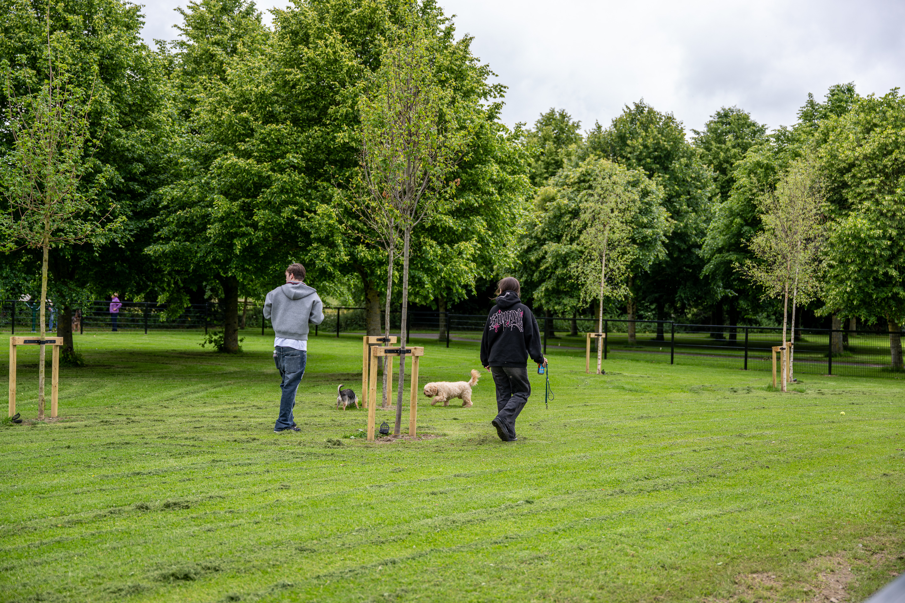SDCC---Rathcoole-Park-Dog-Run---Ben-Ryan-09 SDCC---Rathcoole-Park-Dog-Run---Ben-Ryan-09