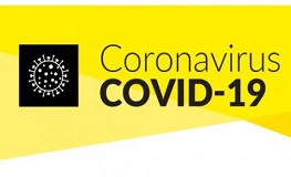 covid-WEB