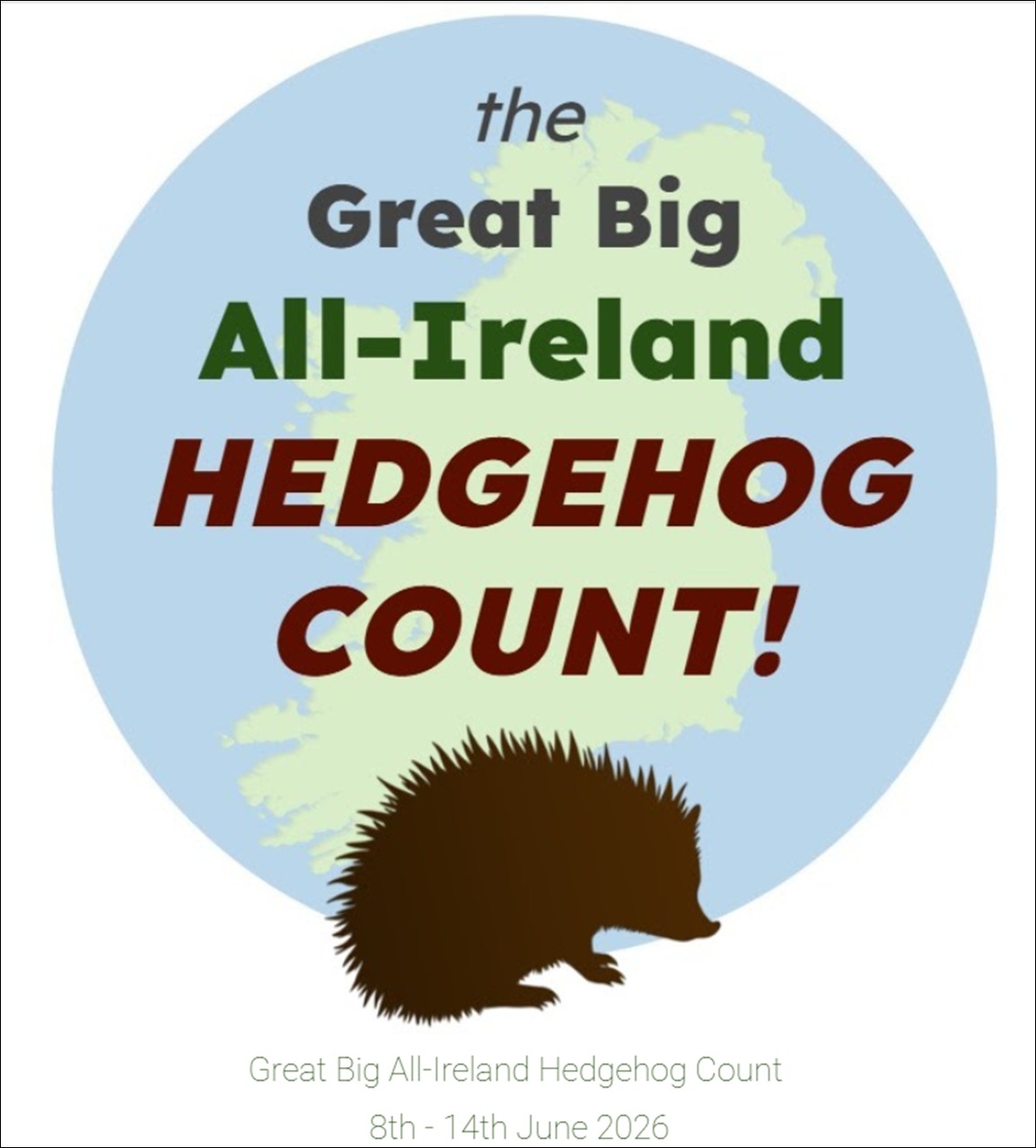 hedgehog hedgehog