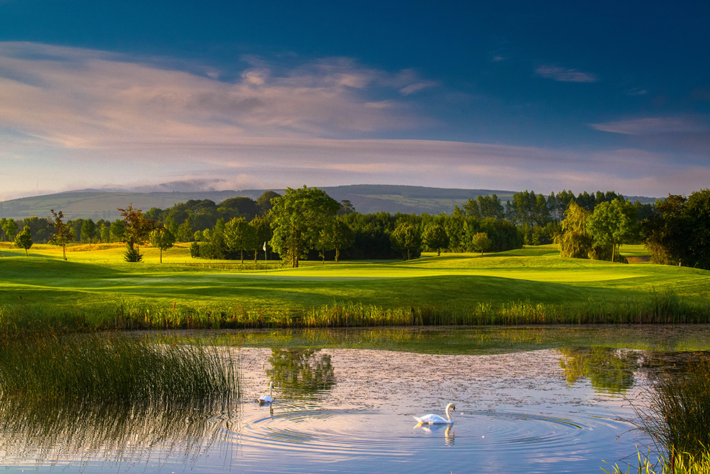 Grange Castle 10th Hole Green