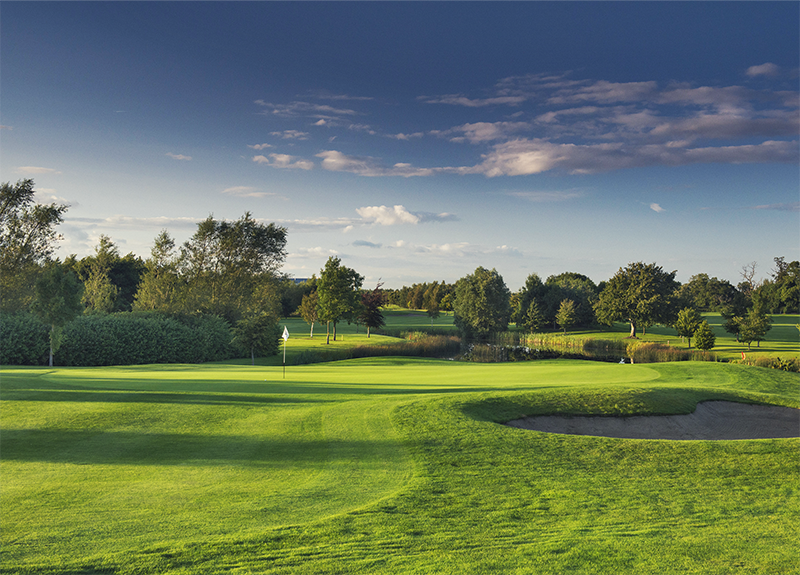 Grange Castle 8th Hole