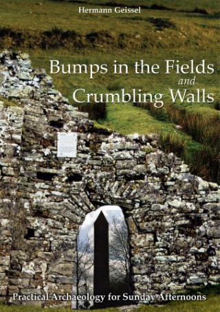 bumps_in_the_fields