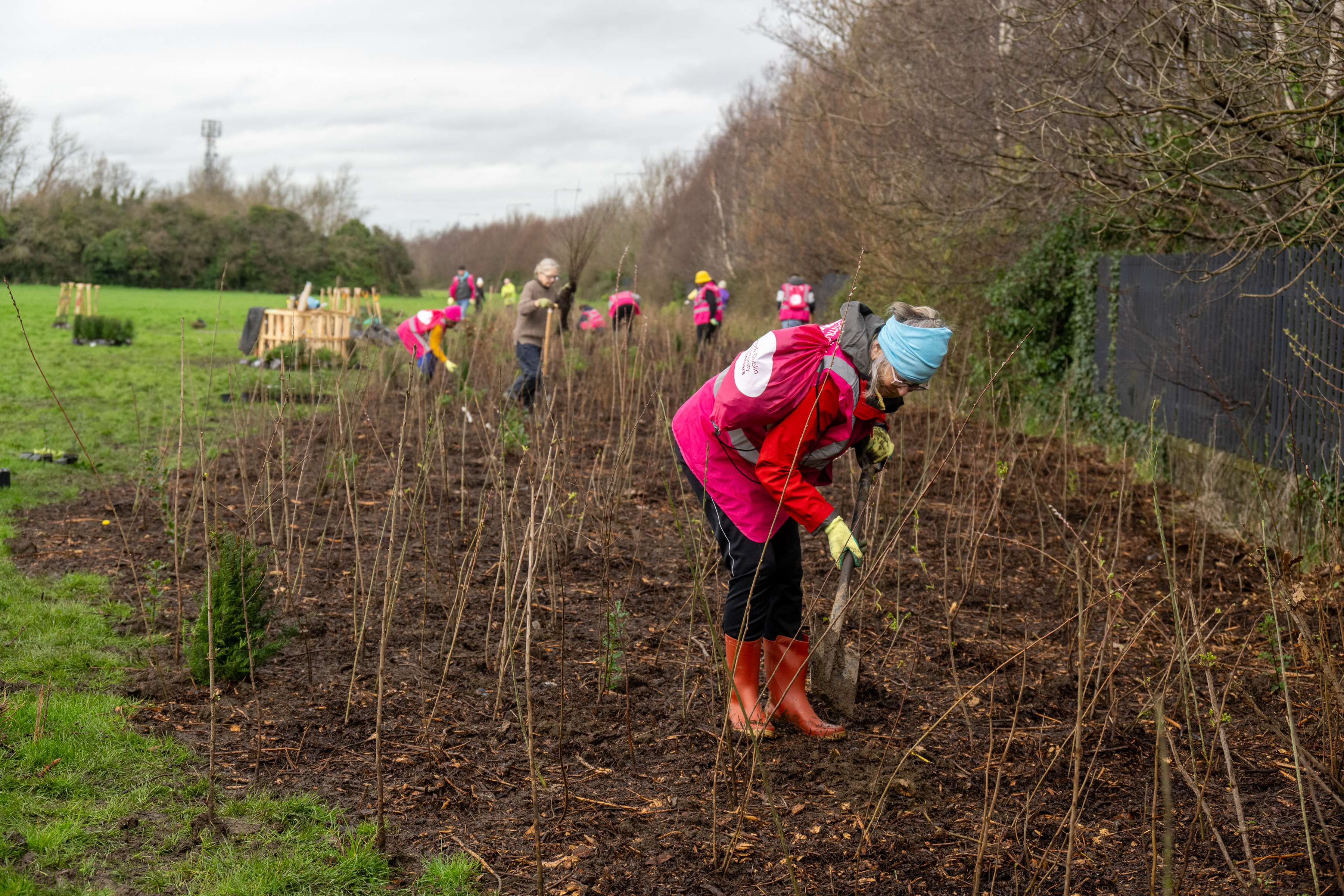 Mini-Woodland-Planting---Tymon-Park---Ben-Ryan-02